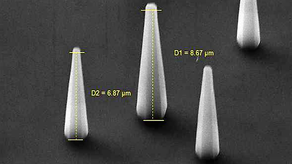 An SEM image of ZnO nanorods from side-view.